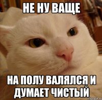 Не ну ваще На полу валялся и думает чистый