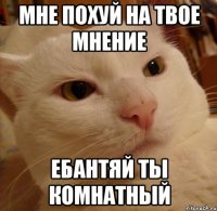 Мне похуй на твое мнение ебантяй ты комнатный