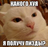 Какого хуя Я получу пизды?