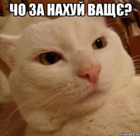 чо за нахуй ващє? 