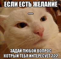 Если есть желание .... Задай любой вопрос котрый тебя интересует ???