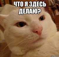 что я здесь делаю? 