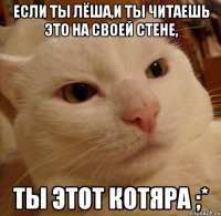 Если ты Лёша,и ты читаешь это на своей стене, ты этот котяра ;*