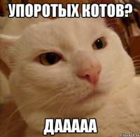 упоротых котов? ДААААА