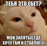 тебя это ебет? мои запятые,где хочу там и ставлю)))