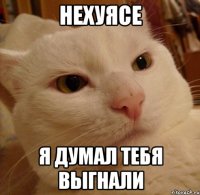 НЕХУЯСЕ Я ДУМАЛ ТЕБЯ ВЫГНАЛИ