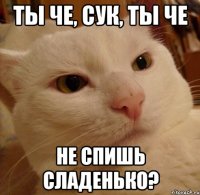 ты че, сук, ты че не спишь сладенько?