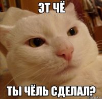 Эт чё ты чёль сделал?