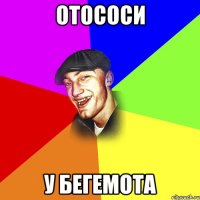 отососи у бегемота