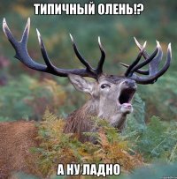 Типичный Олень!? А ну ладно