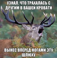 Узнал, что трахалась с другим в вашей кровати Вынес вперед ногами эту шлюху