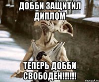 Добби защитил диплом Теперь Добби свободен!!!!!!