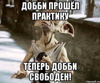 Добби прошёл практику теперь Добби свободен!