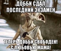 ДОББИ СДАЛ ПОСЛЕДНИЙ ЭКЗАМЕН ТЕПЕРЬ ДОББИ СВОБОДЕН! С ЛЮБОВЬЮ МАМА!