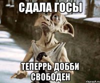 сдала госы теперрь добби свободен