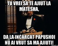 TU VREI SA TE AJIUT LA MATESHA, DA LA INCARCAT PAPUSHOI NU AI VRUT SA MA AJIUTI!