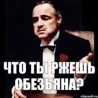 что ты ржешь обезьяна?