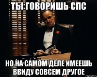 ты говоришь спс но на самом деле имеешь ввиду совсем другое