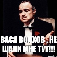 Вася волхов , не шали мне тут!!!