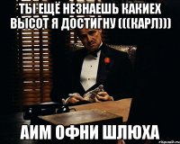 Ты ещё незнаешь какиех высот я достигну (((Карл))) Аим офни шлюха