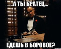 А ТЫ БРАТЕЦ... ЕДЕШЬ В БОРОВОЕ?