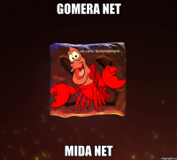 Gomera net Mida net