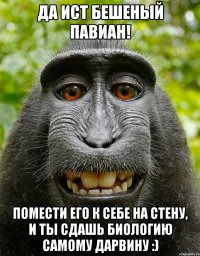 Да ист бешеный павиан! Помести его к себе на стену, и ты сдашь биологию самому Дарвину :)