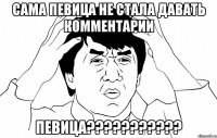 Сама певица не стала давать комментарии Певица???????????