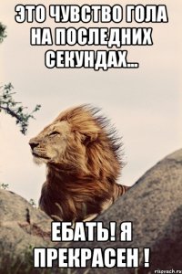 Это чувство гола на последних секундах... ЕБАТЬ! Я ПРЕКРАСЕН !