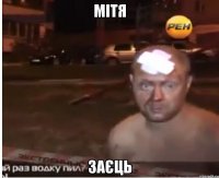 Мітя Заєць