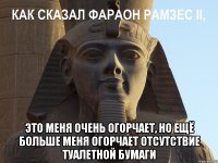  это меня очень огорчает, но ещё больше меня огорчает отсутствие туалетной бумаги