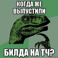 КОГДА ЖЕ ВЫПУСТИЛИ БИЛДА НА ТЧ?