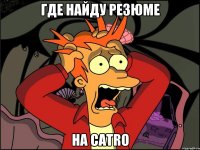 Где найду резюме На CATRO