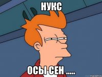 НУКС ОСЫ СЕН .....