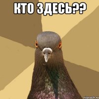 кто здесь?? 