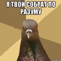 Я ТВОЙ СОБРАТ ПО РАЗУМУ 