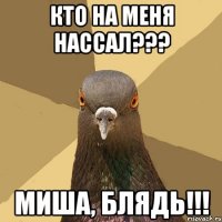 Кто на меня нассал??? Миша, блядь!!!