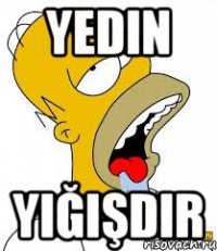 Yedin Yığışdır