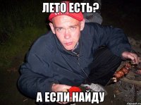 ЛЕТО ЕСТЬ? А ЕСЛИ НАЙДУ