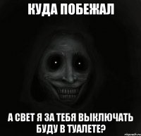 куда побежал а свет я за тебя выключать буду в туалете?