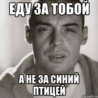 еду за тобой а не за синий птицей