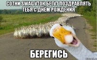 Сотни swag уток бегут поздравлять тебя с Днём Рождения Берегись