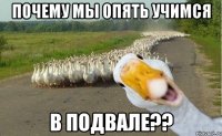 почему мы опять учимся в подвале??