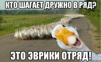 Кто шагает дружно в ряд? Это Эврики отряд!