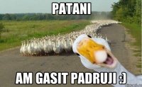 patani am gasit padruji :)