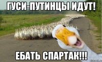 гуси-путинцы идут! ебать спартак!!!