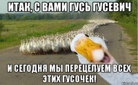 Итак, с вами Гусь Гусевич И сегодня мы перецелуем всех этих гусочек!