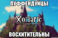 ПУФФЕНДУЙЦЫ ВОСХИТИТЕЛЬНЫ