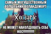 самый могущественный волшебник воландеморт не может наколдовать себе нос!!!!!!!!!!!