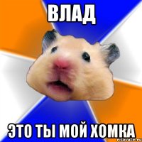 Влад Это ты мой хомка